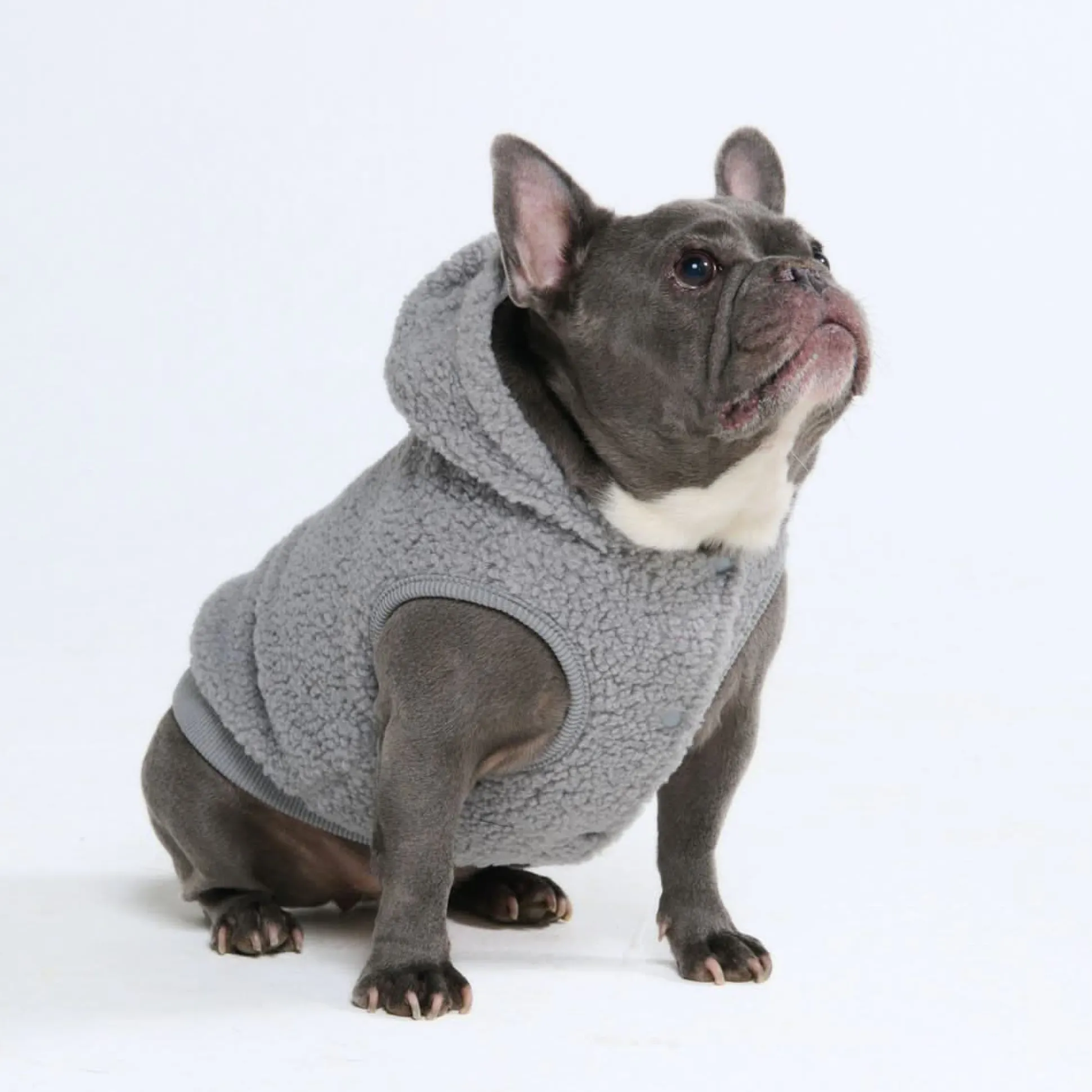 Teddy Sherpa Dog Jacket - Silver Gray