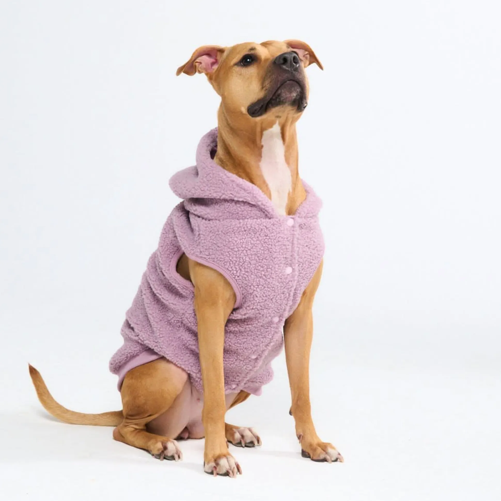 Teddy Sherpa Dog Jacket - Taupe