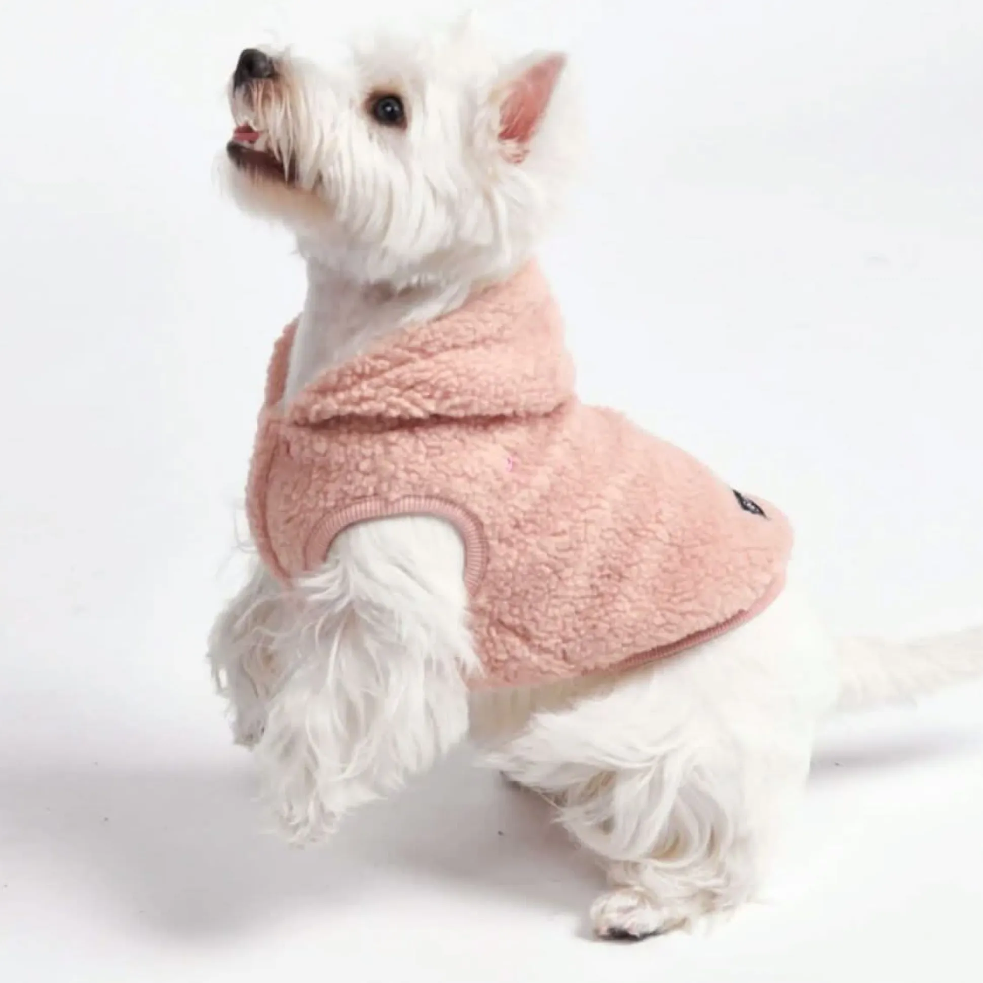 Teddy Sherpa Jacket - Pink