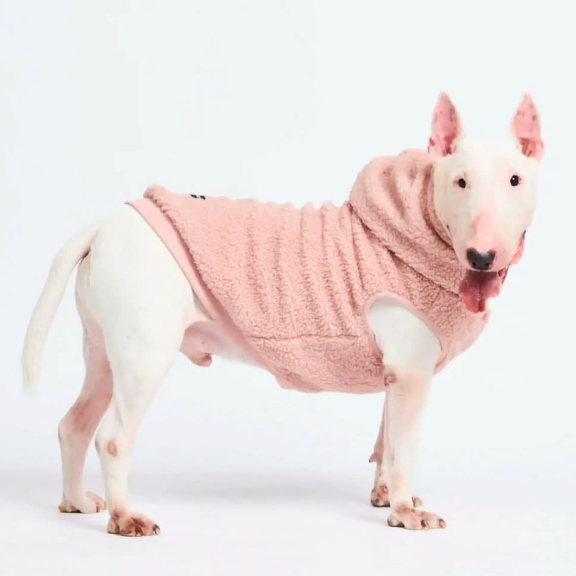 Teddy Sherpa Jacket - Pink