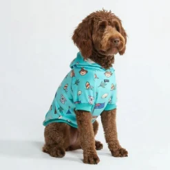 The Australia Dog Hoodie - Teal