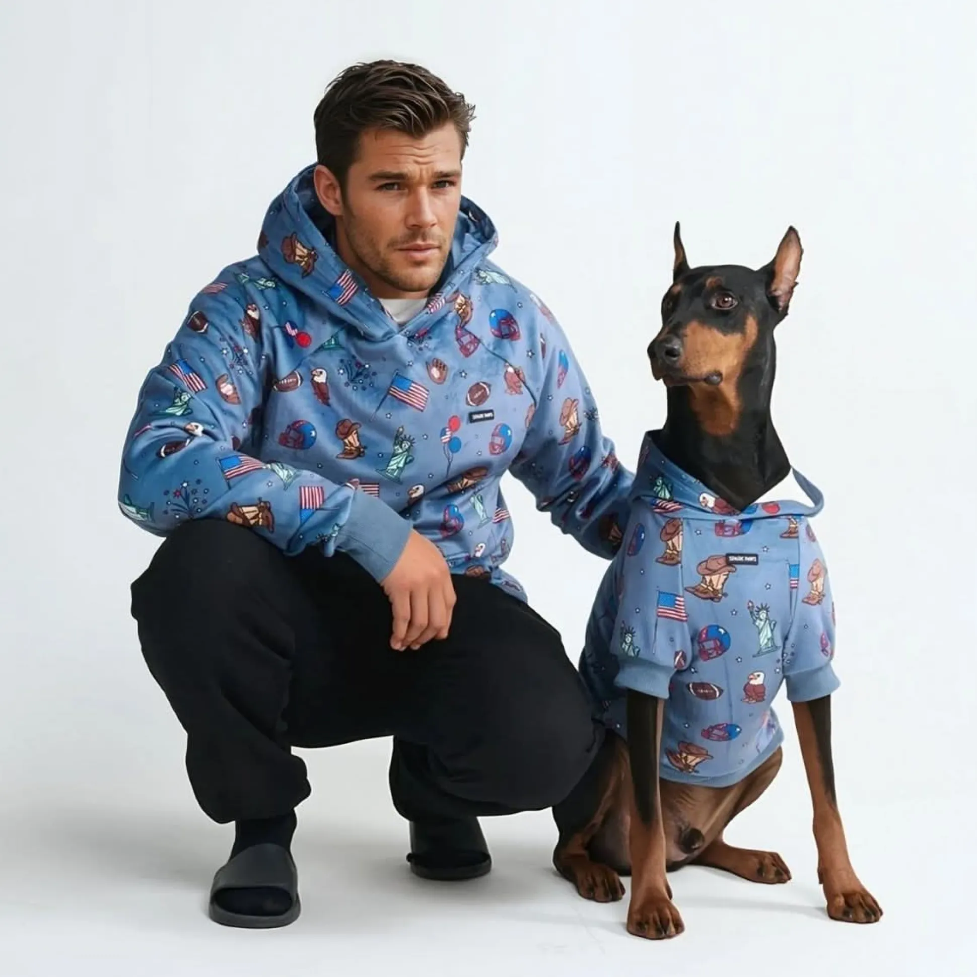 The USA Dog Hoodie - Blue
