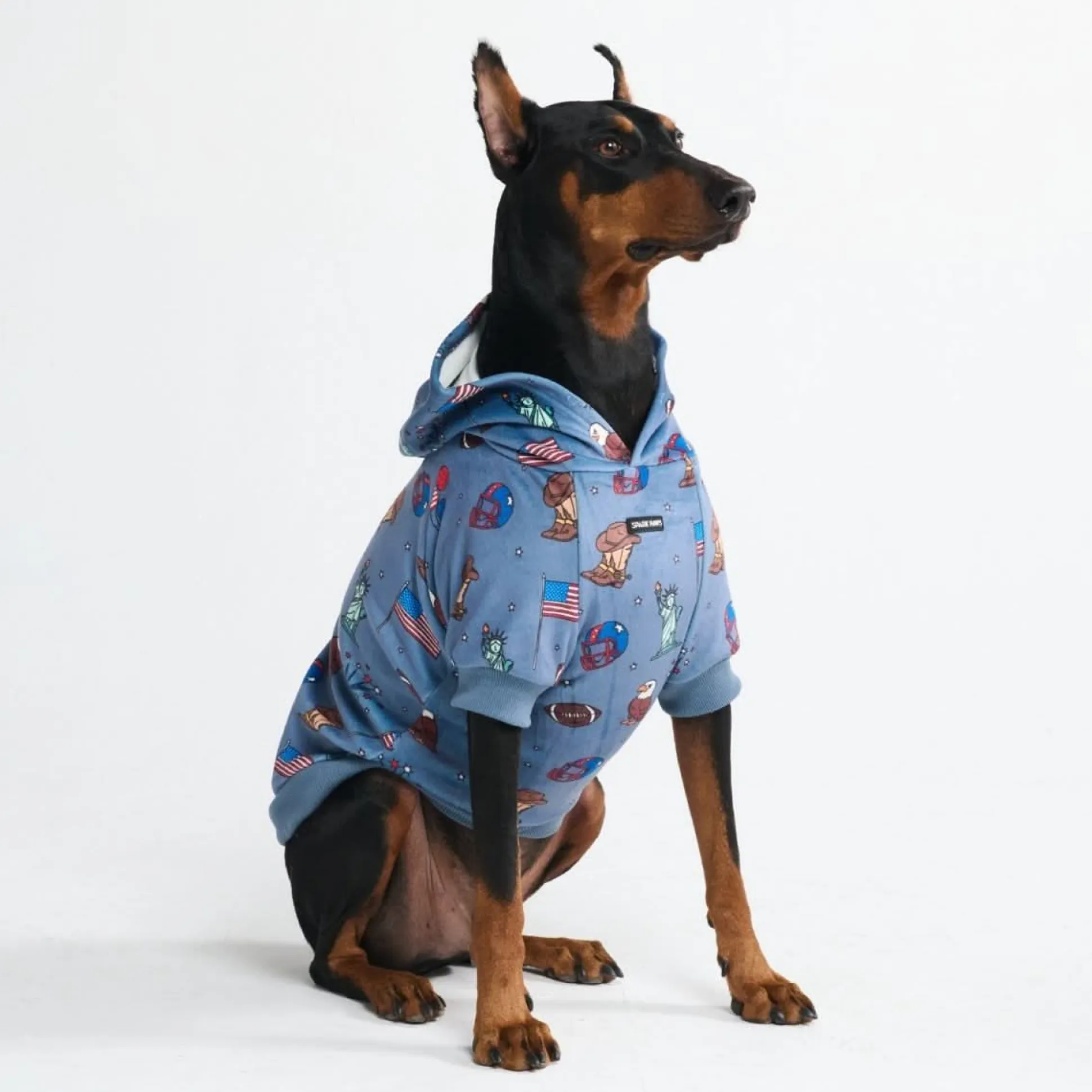 The USA Dog Hoodie - Blue