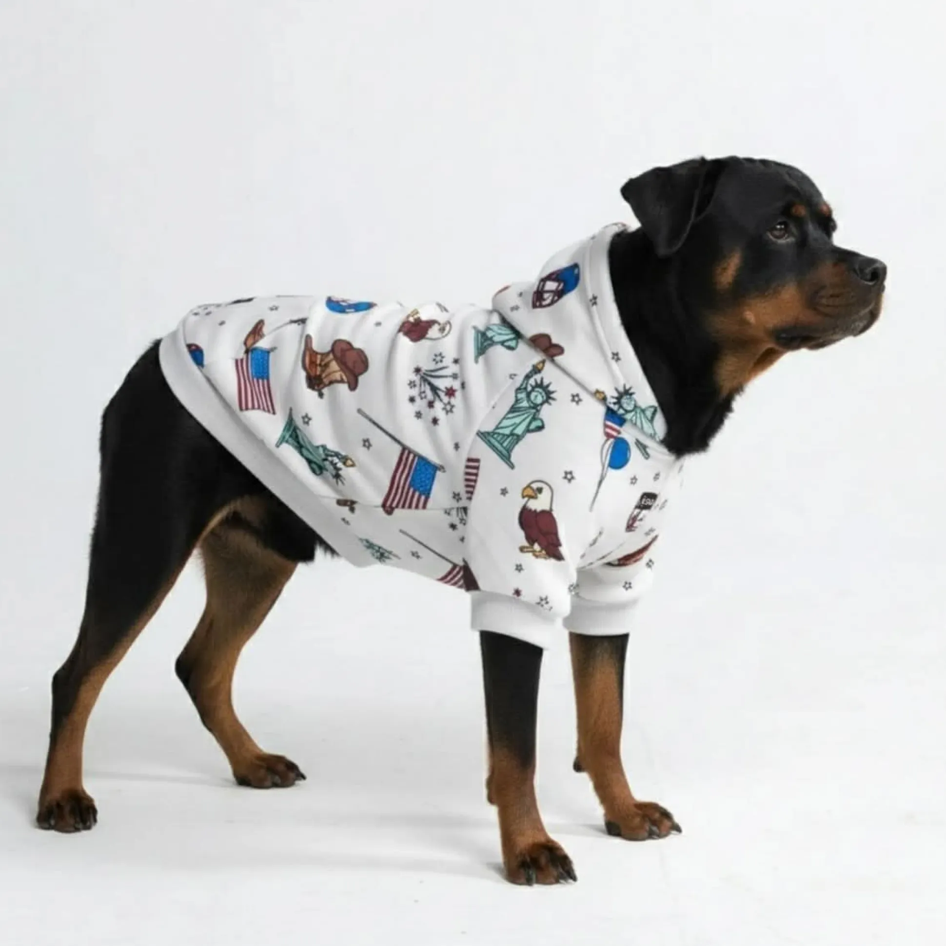The USA Dog Hoodie - Grey