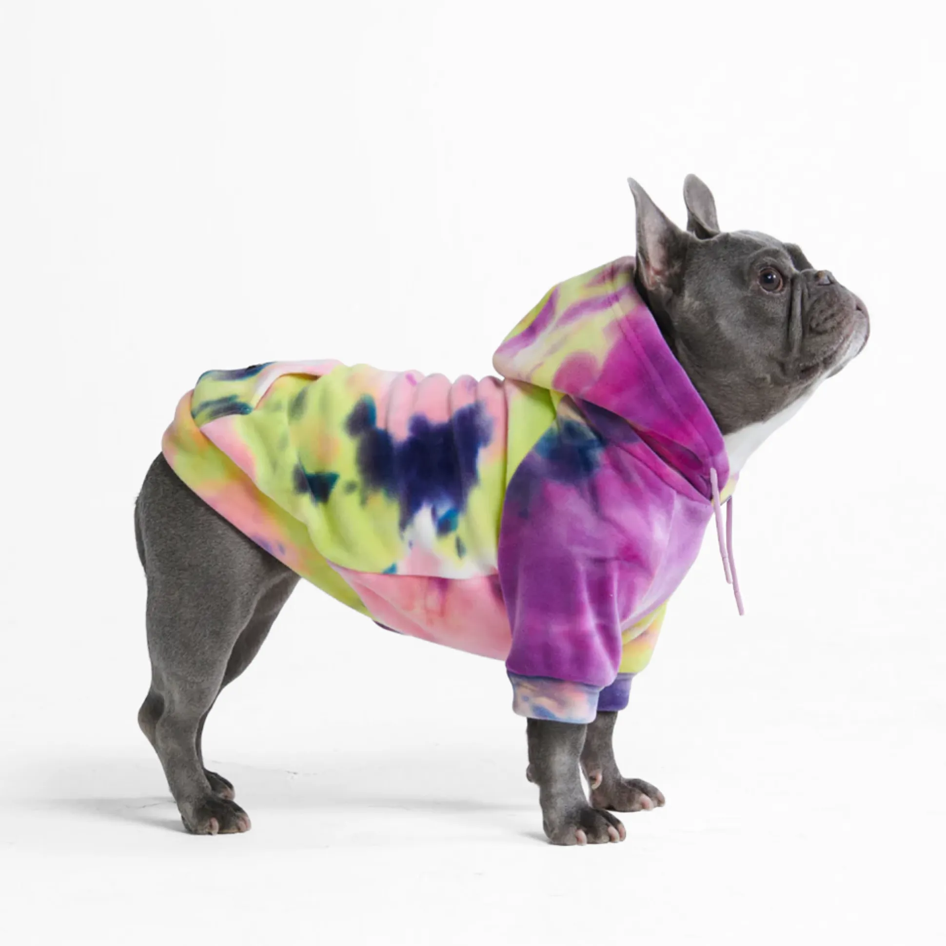 Velvet Dog Hoodie - Berry Lemonade