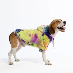 Velvet Dog Hoodie - Berry Lemonade