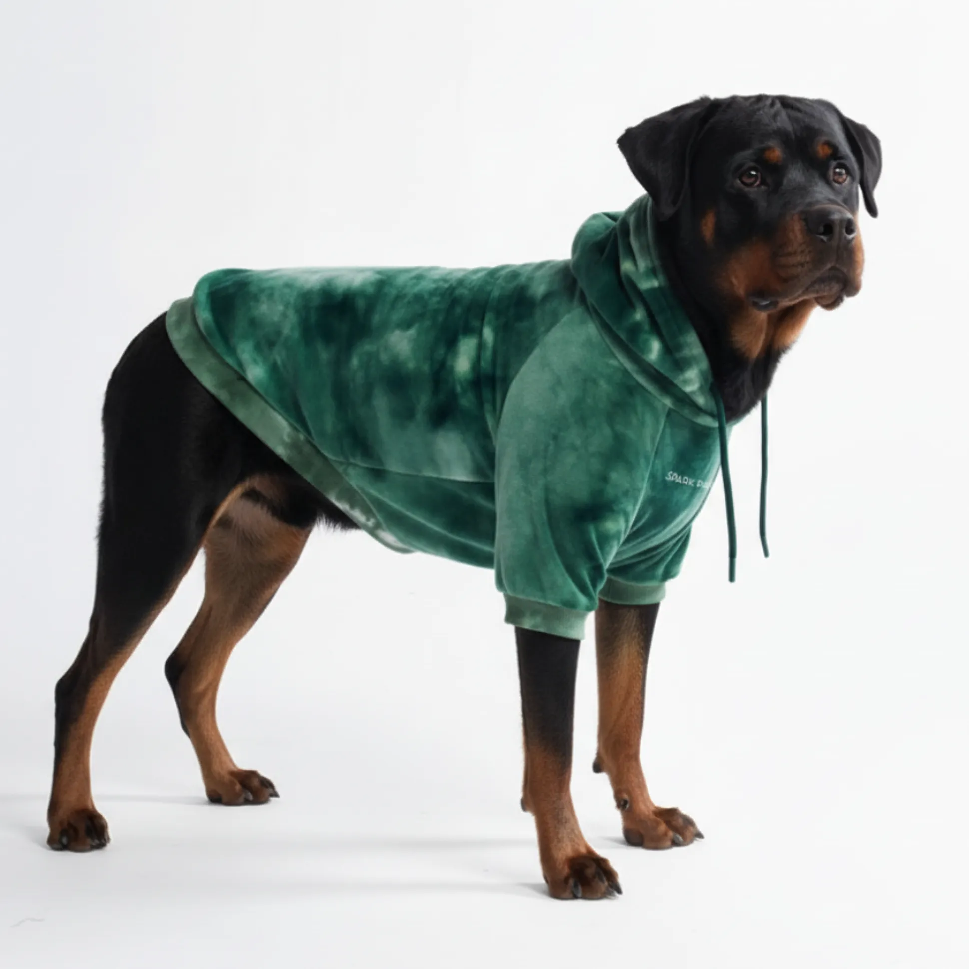 Velvet Dog Hoodie - Emerald Green