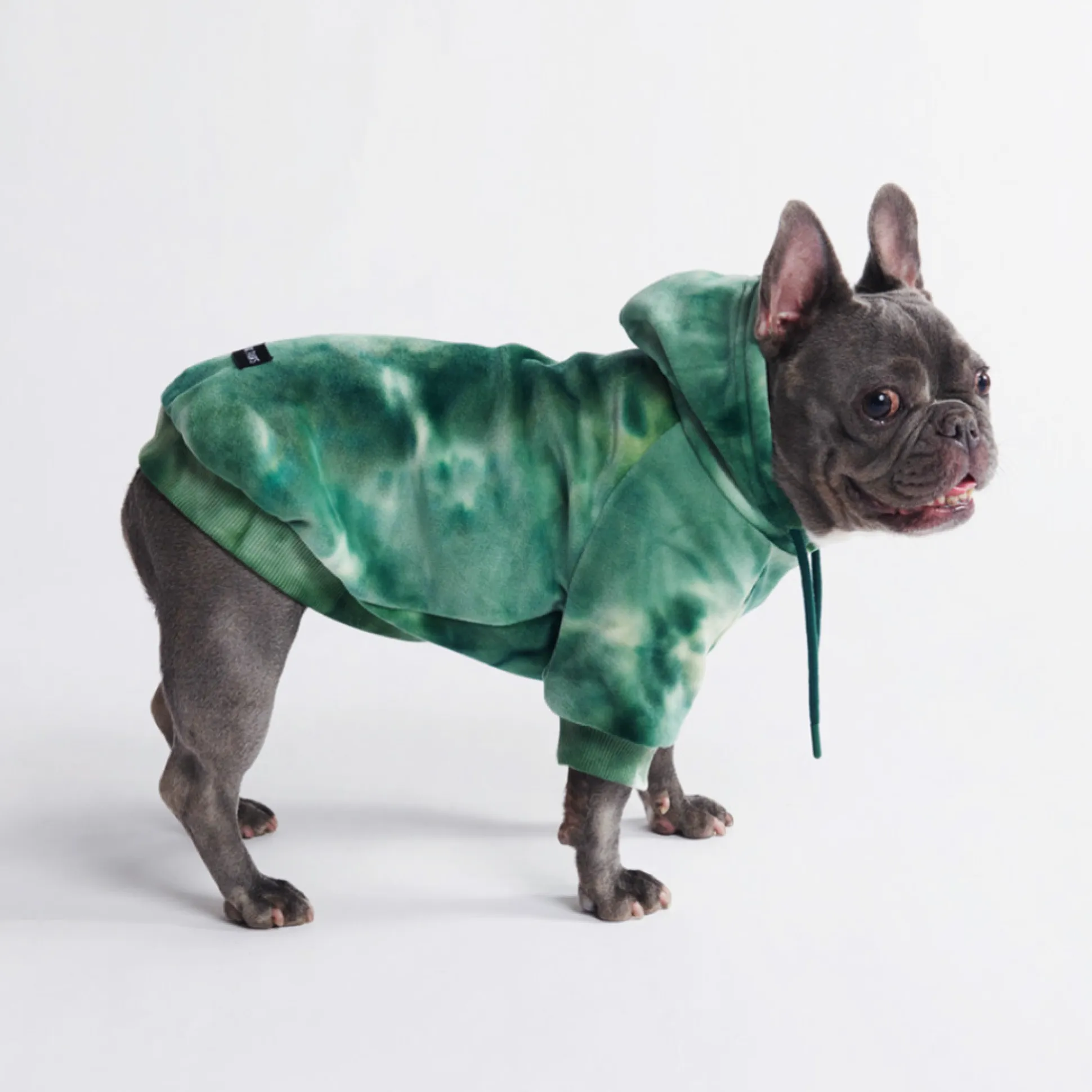 Velvet Dog Hoodie - Emerald Green