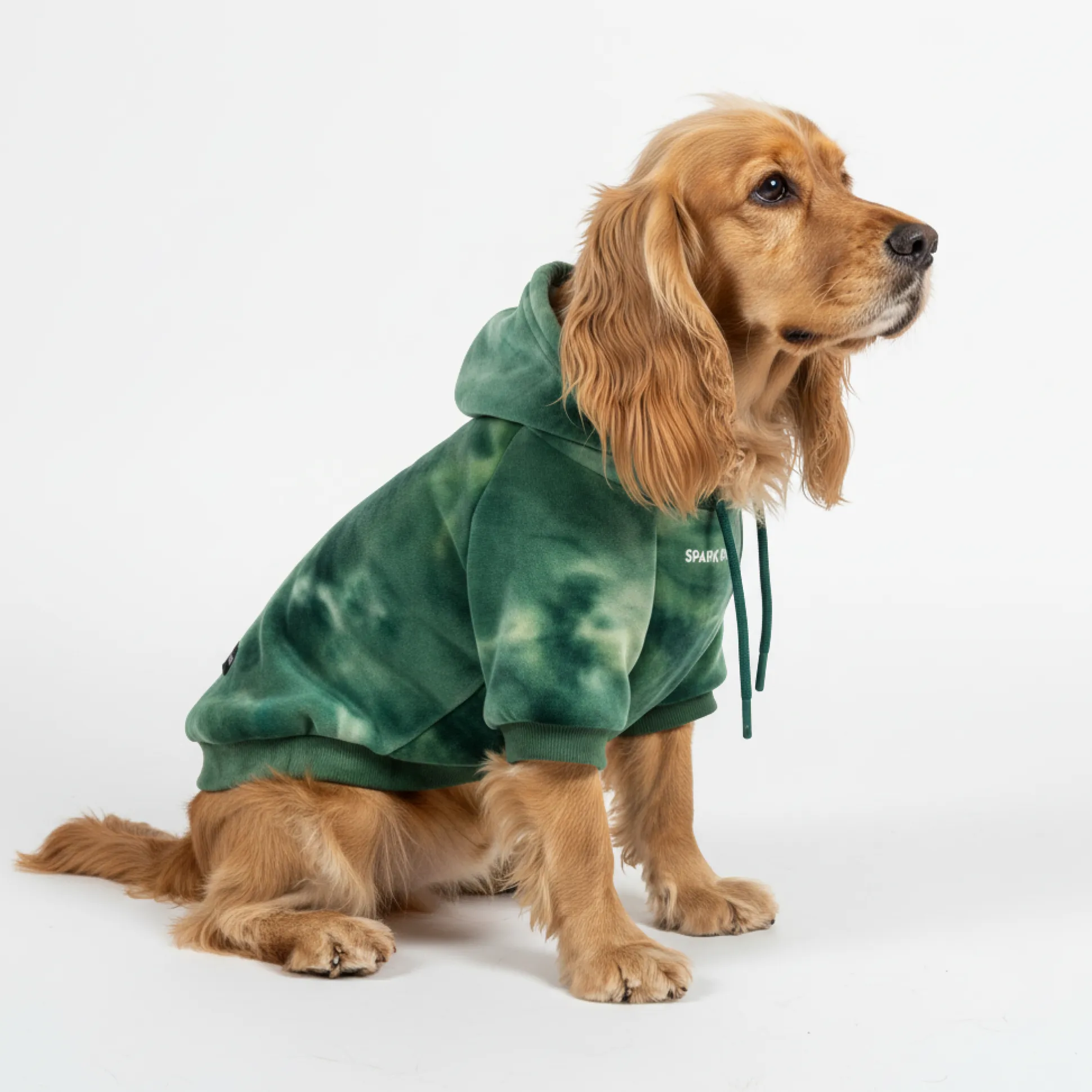 Velvet Dog Hoodie - Emerald Green