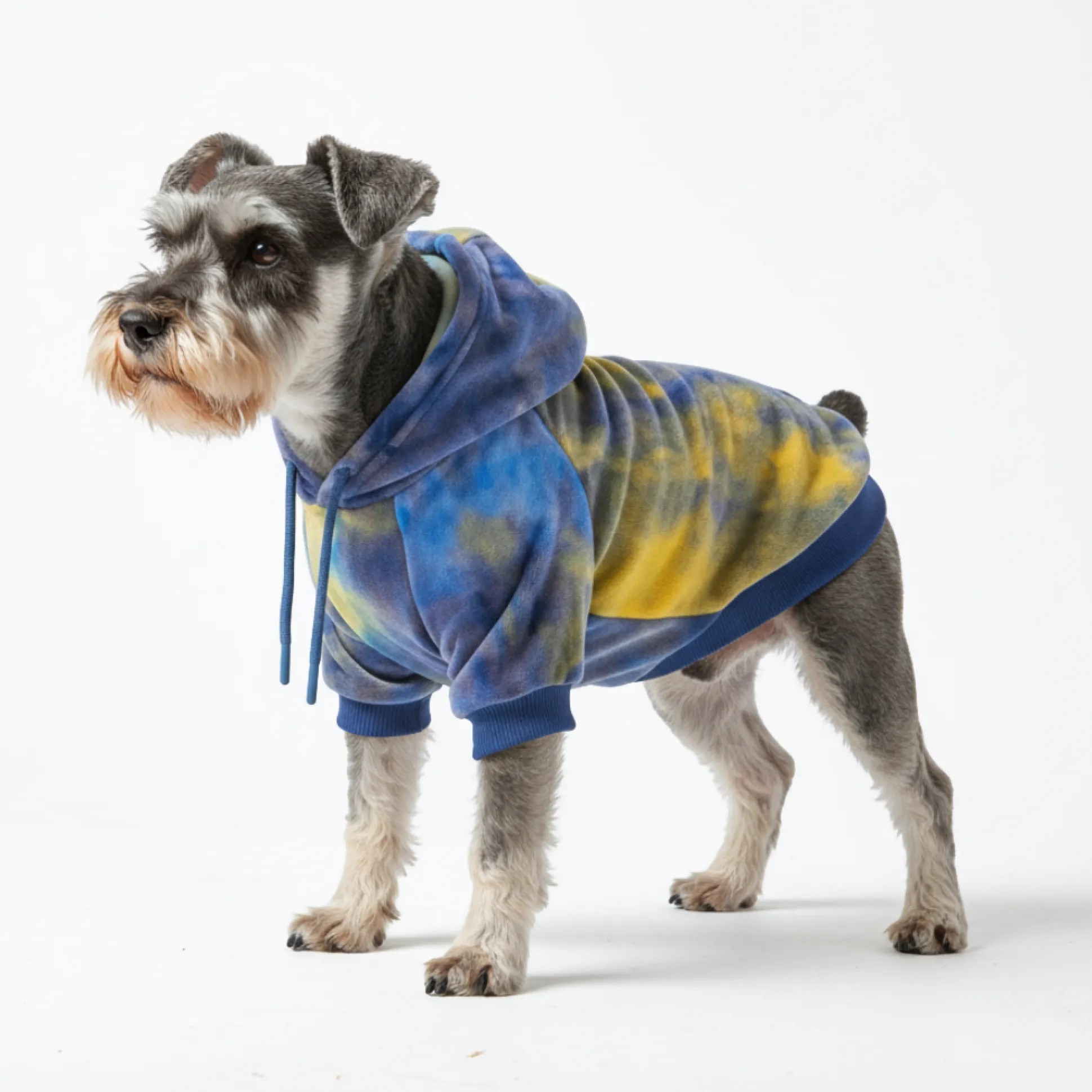 Velvet Dog Hoodie - Nova