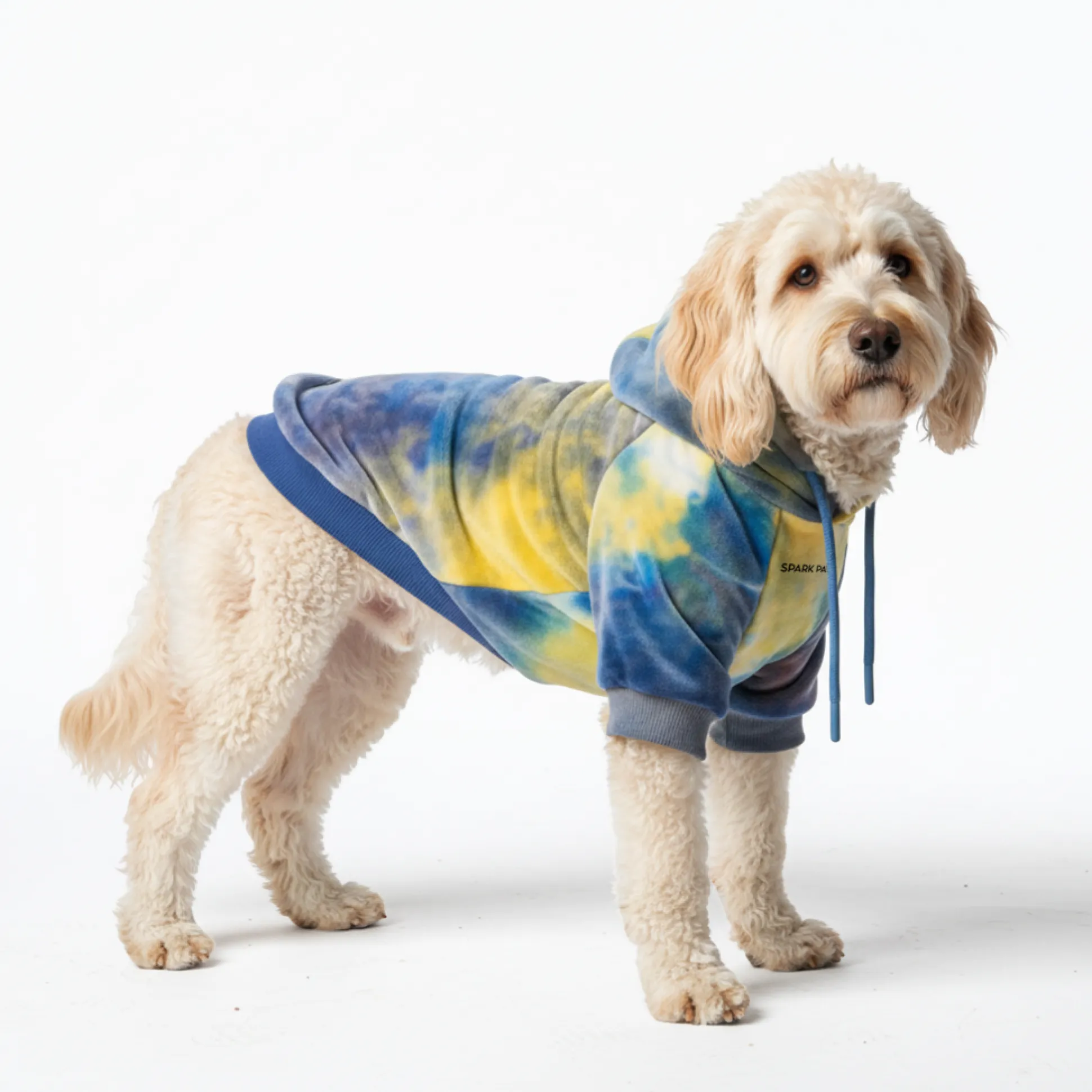 Velvet Dog Hoodie - Nova