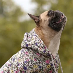 Vintage Flower Dog Hoodie - Light Grey