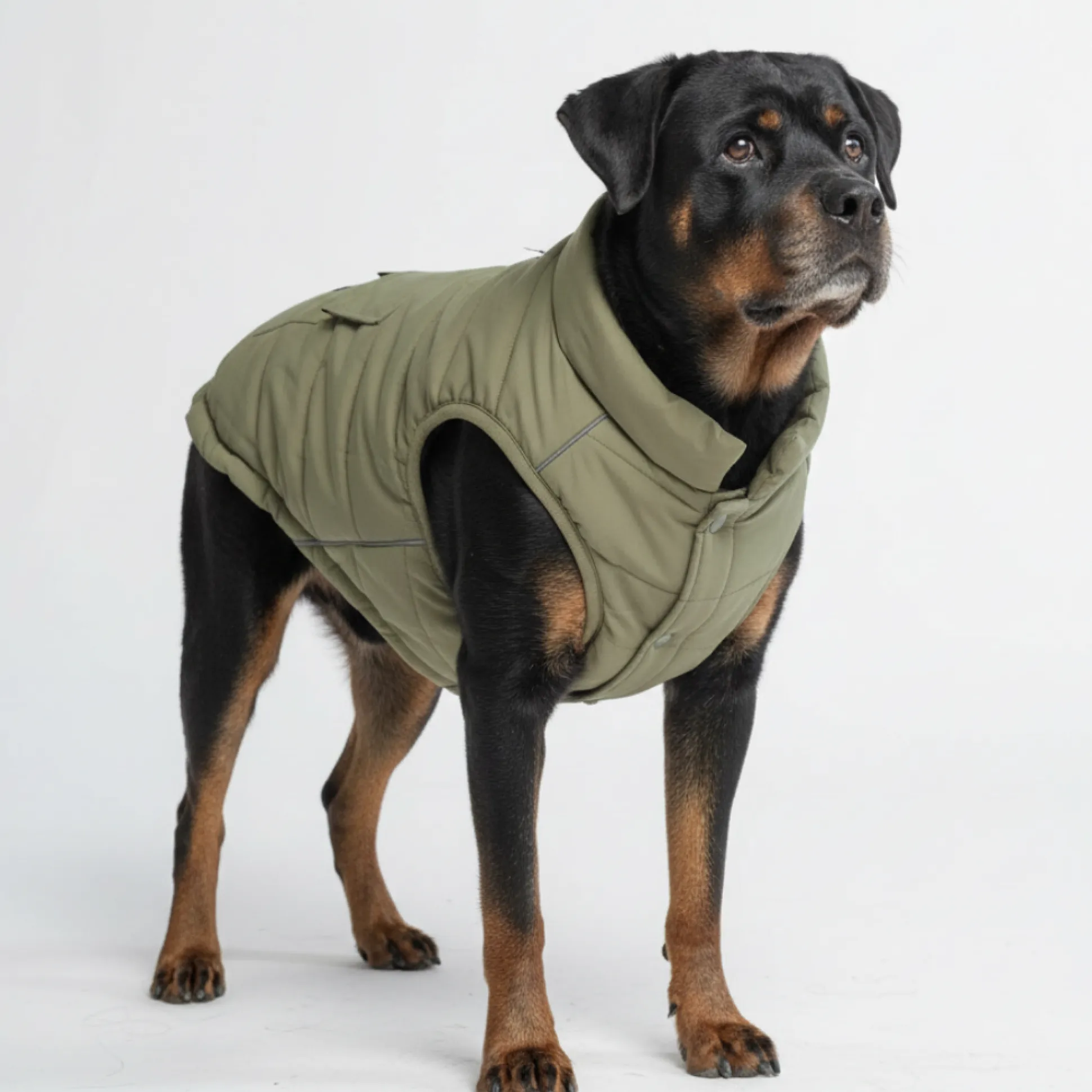 WarmShield Water-Resistant Jacket - Olive