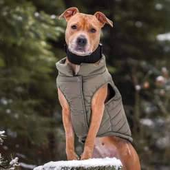 WarmShield Water-Resistant Jacket - Olive