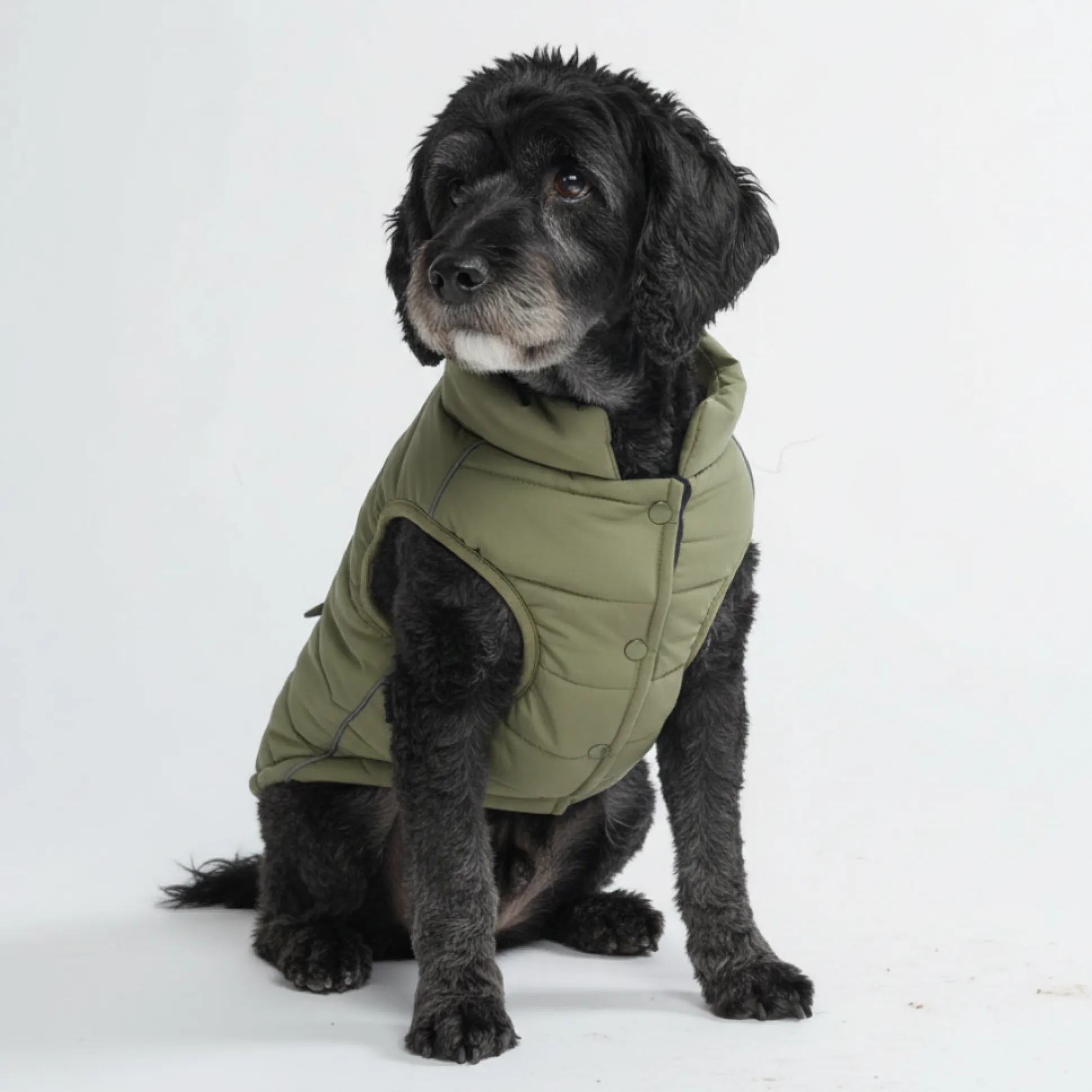 WarmShield Water-Resistant Jacket - Olive