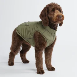 WarmShield Water-Resistant Jacket - Olive