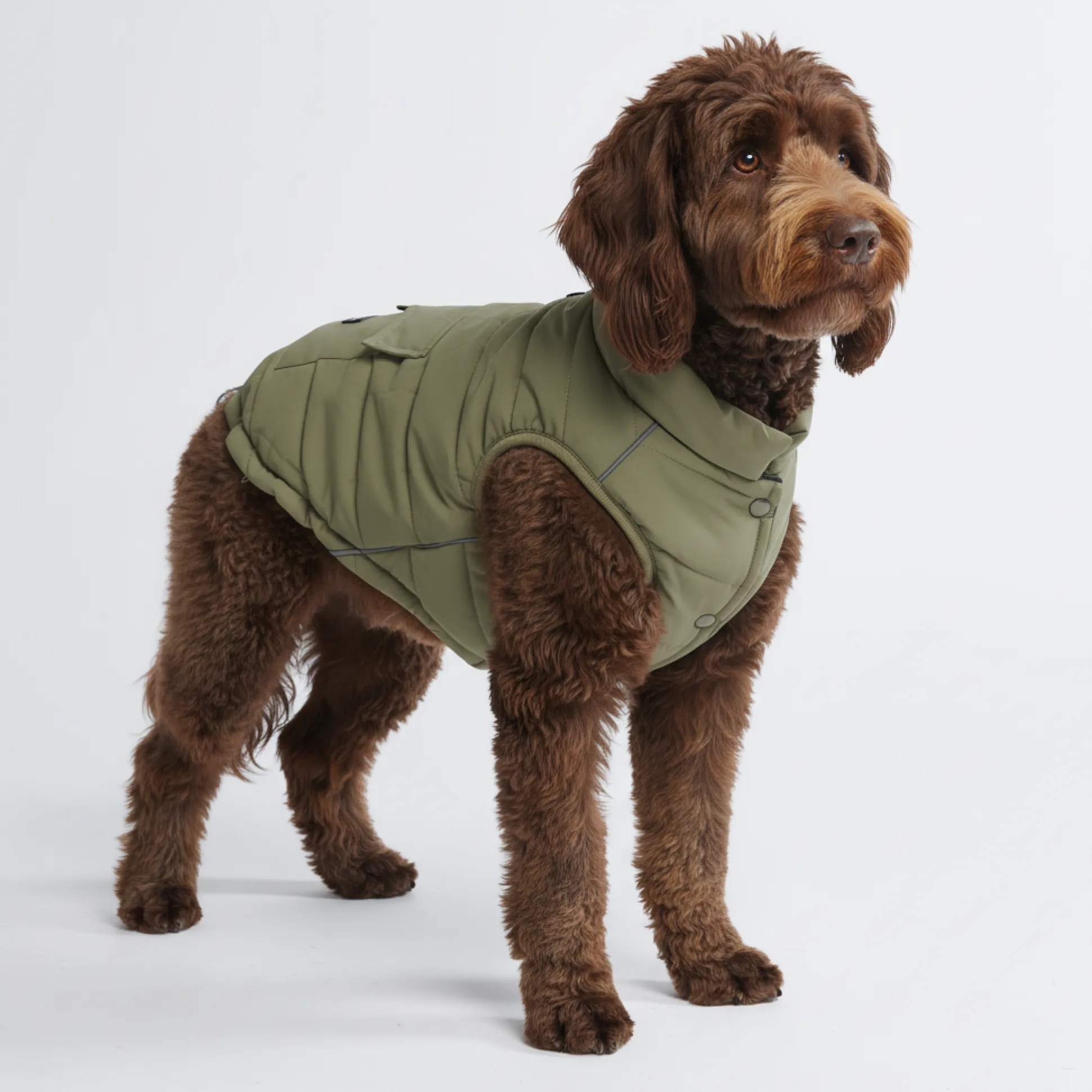 WarmShield Water-Resistant Jacket - Olive