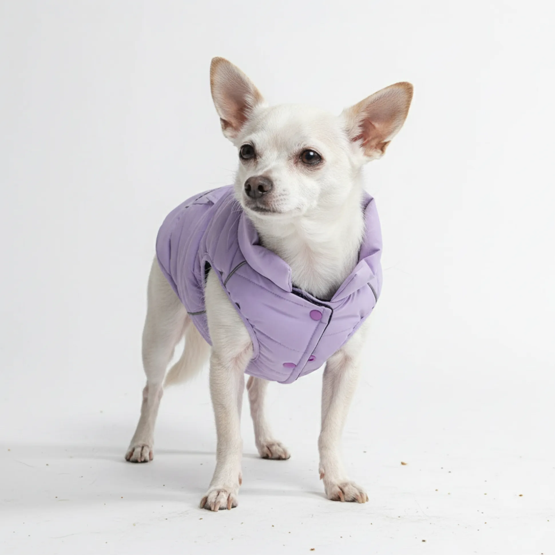 WarmShield Water-Resistant Jacket - Lilac