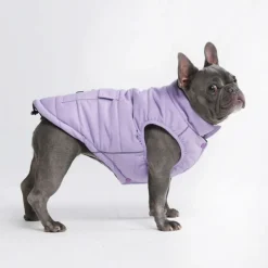 WarmShield Water-Resistant Jacket - Lilac
