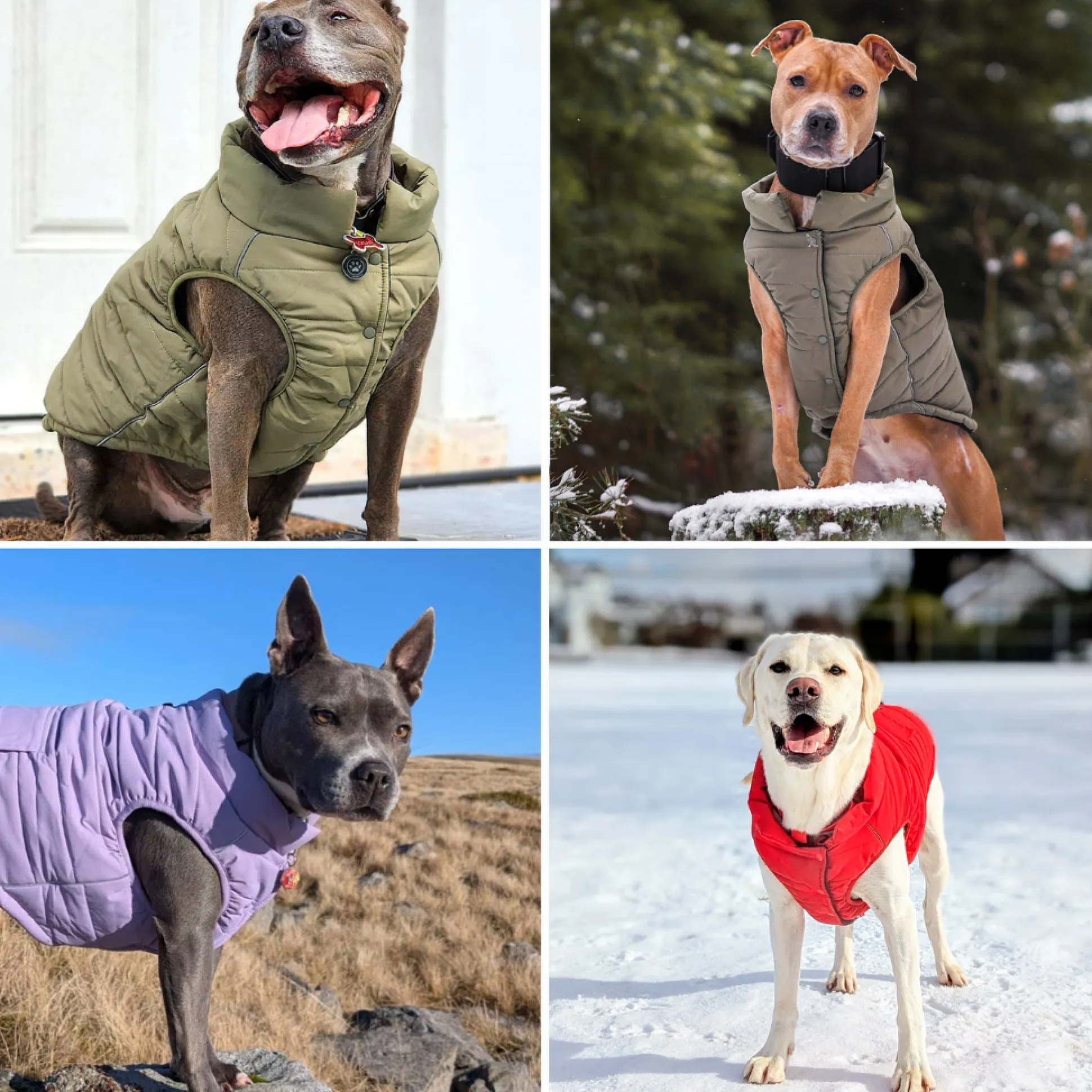 WarmShield Water-Resistant Jacket - Tan
