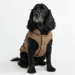 WarmShield Water-Resistant Jacket - Tan