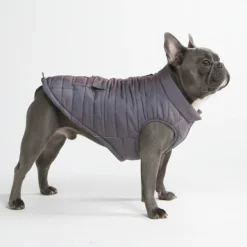 WarmShield Water-Resistant Jacket - Gunmetal Grey