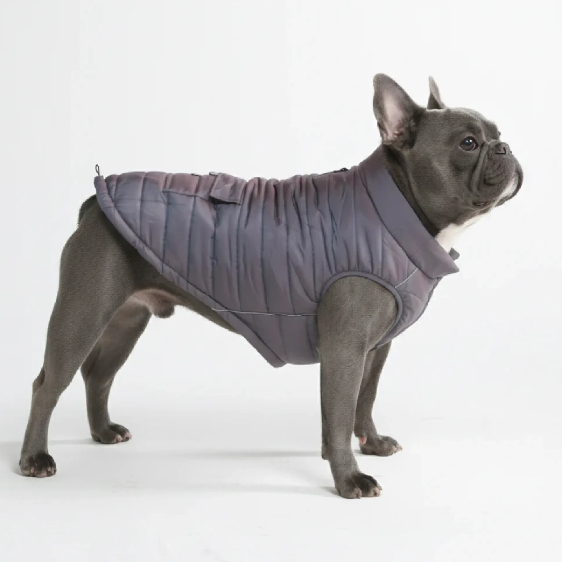 WarmShield Water-Resistant Jacket - Gunmetal Grey