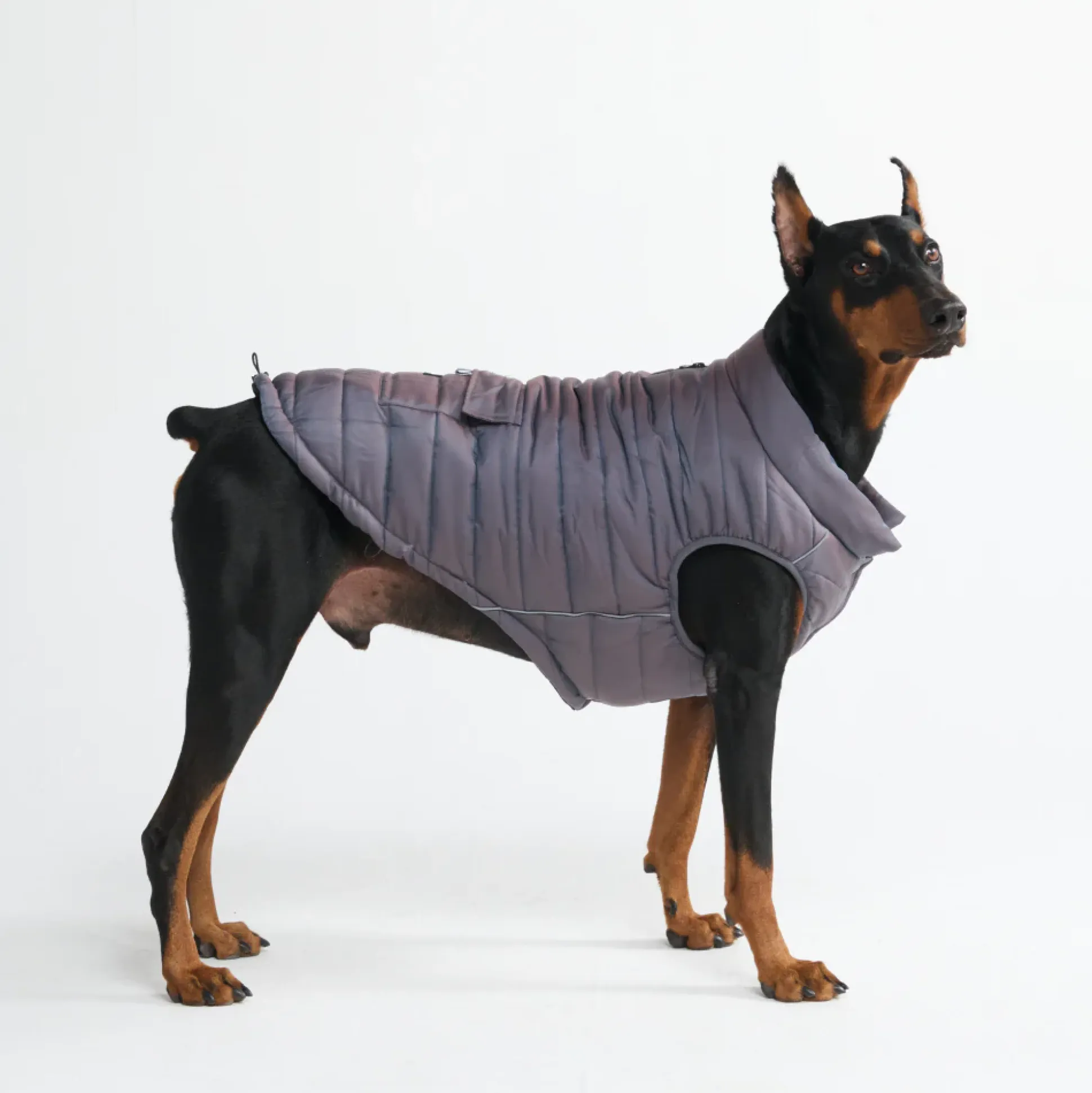 WarmShield Water-Resistant Jacket - Gunmetal Grey