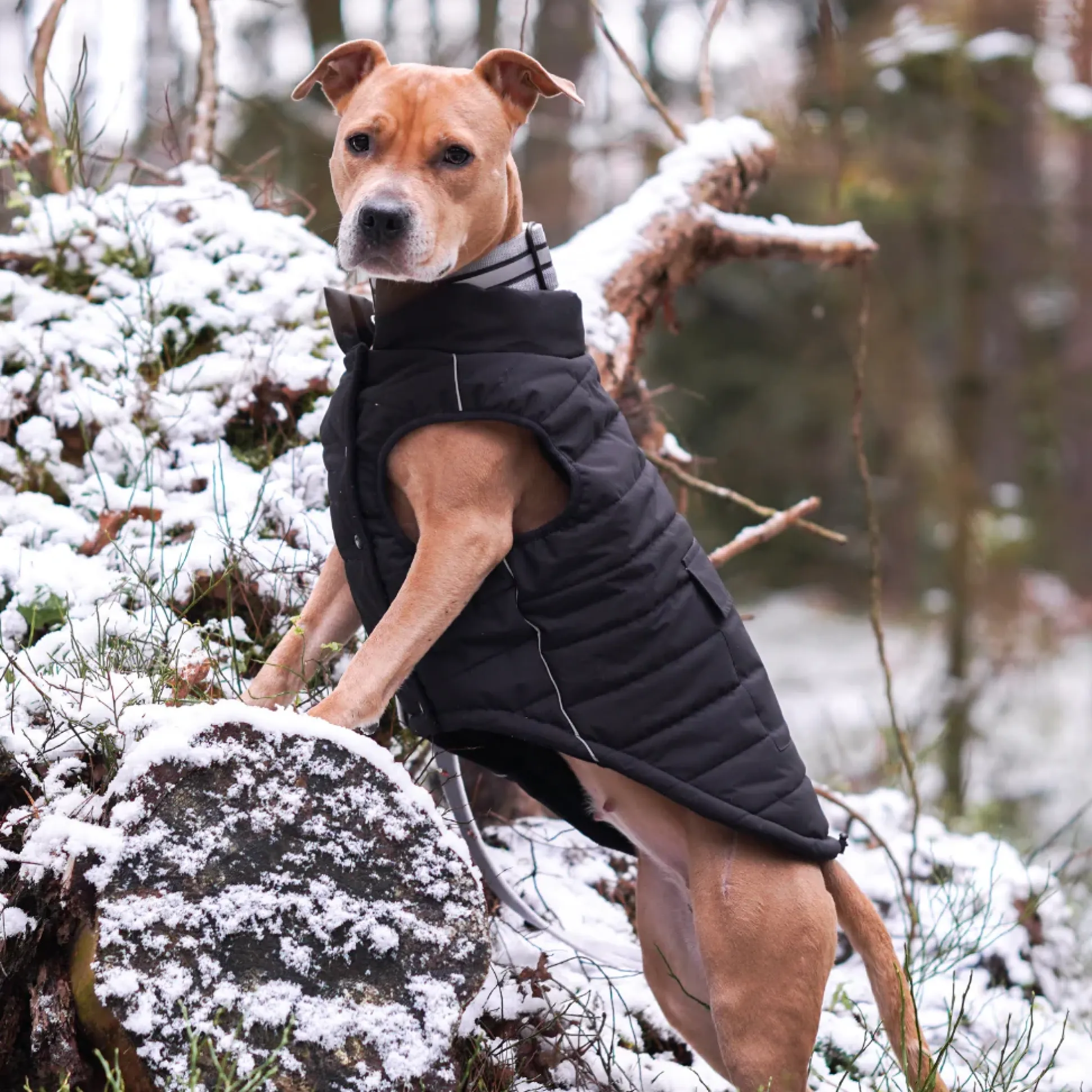 WarmShield Water-Resistant Jacket - Black