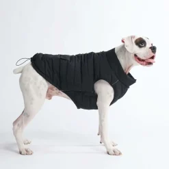 WarmShield Water-Resistant Jacket - Black