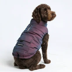 WarmShield Water-Resistant Jacket - Cosmic