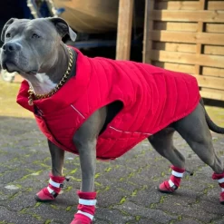 WarmShield Water-Resistant Jacket - Red