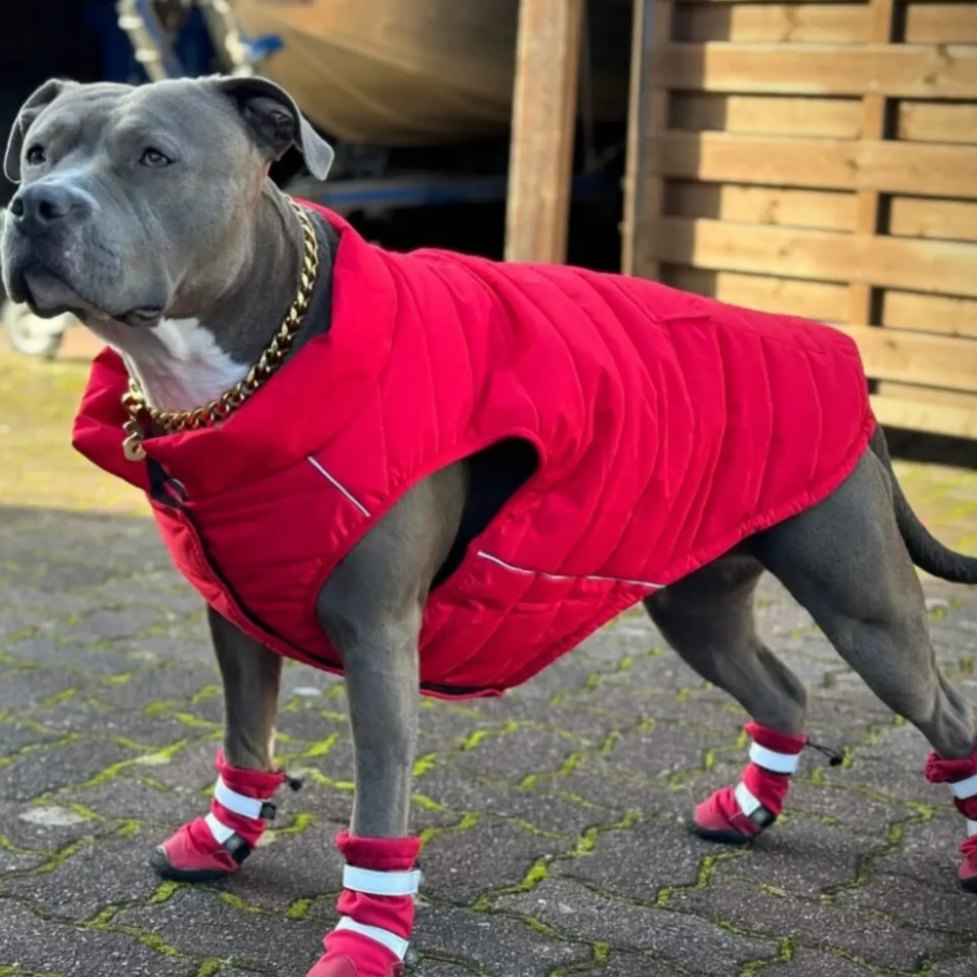 WarmShield Water-Resistant Jacket - Red