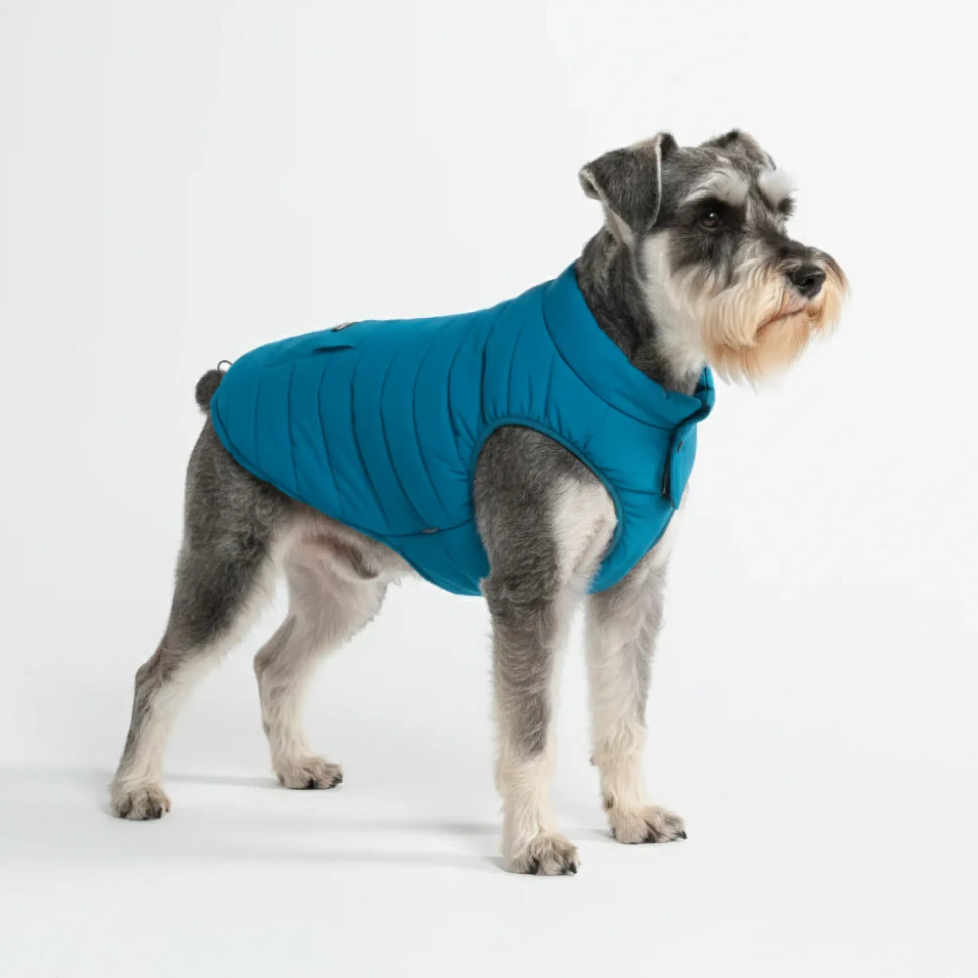 WarmShield Water-Resistant Jacket - Teal