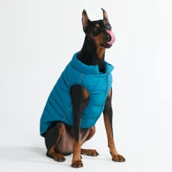 WarmShield Water-Resistant Jacket - Teal