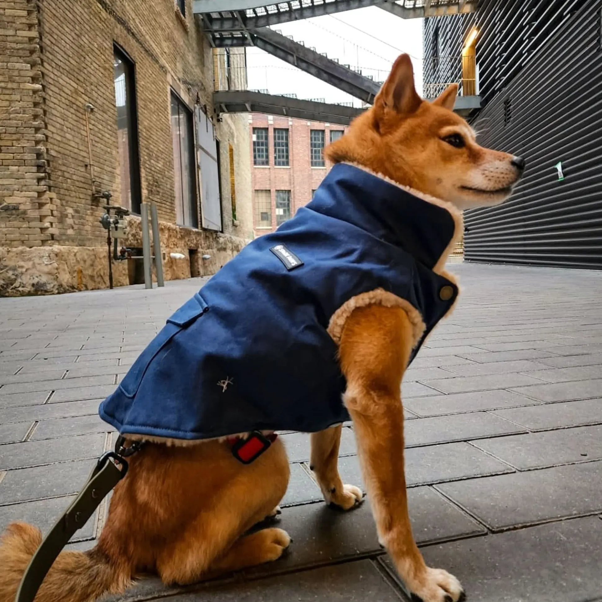 Workdog Insulated Utility Jacket - Navy