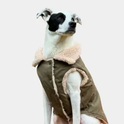 Workdog Insulated Utility Jacket - Green