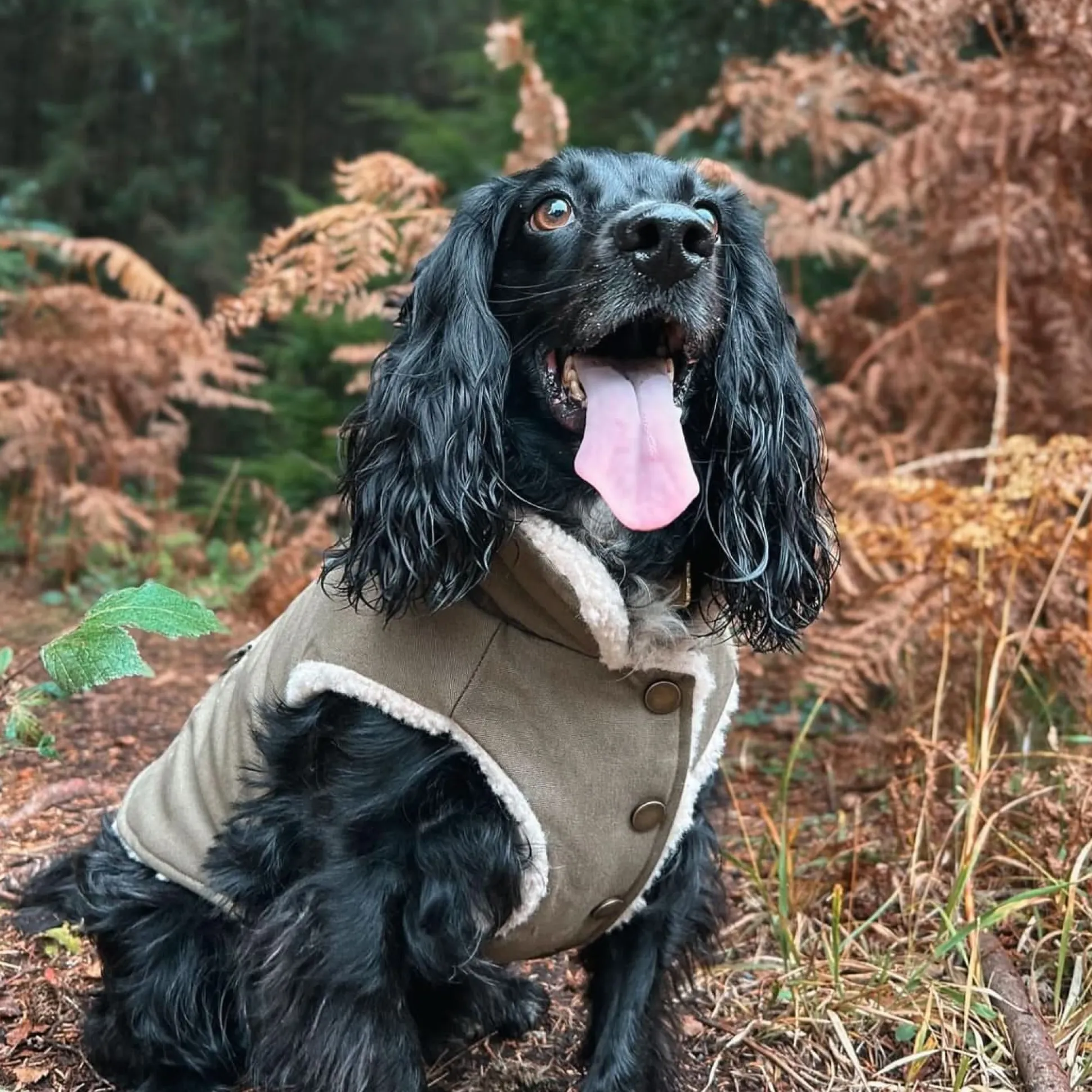 Workdog Insulated Utility Jacket - Green